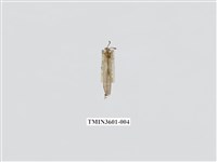 藏品(蟻蛉77)的圖片